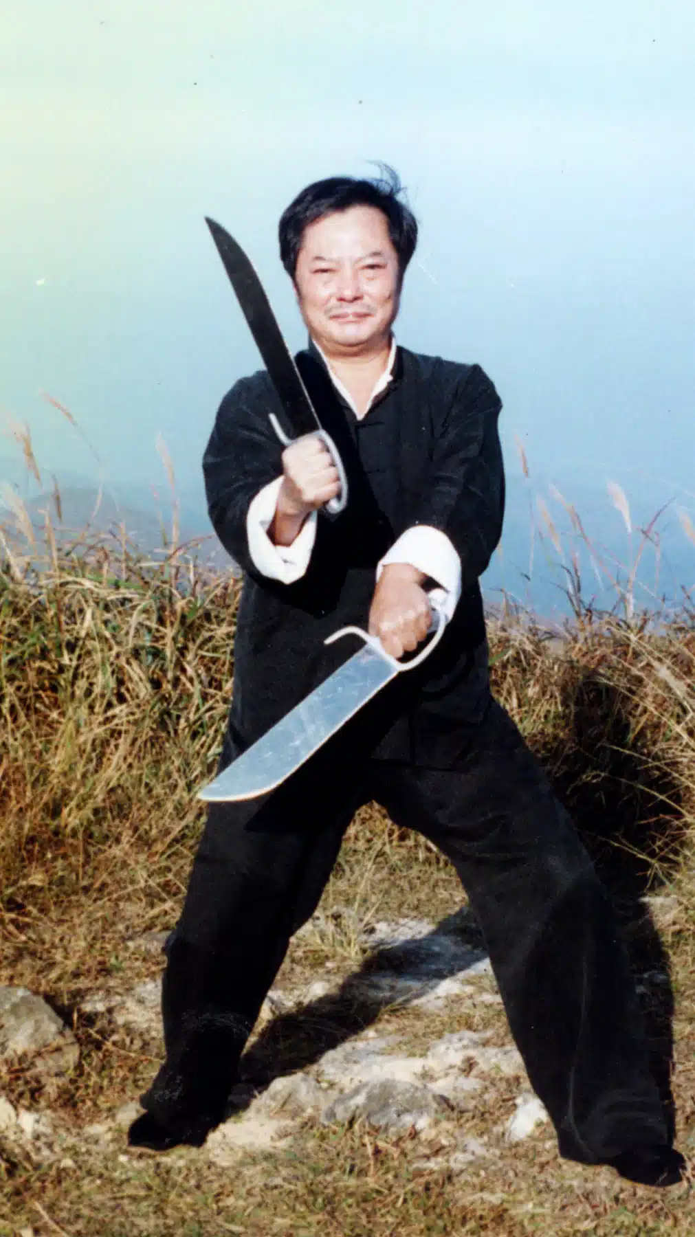 Wong Shun Leung, Butteryfly swords, Wong Shun Leung swords, wong shun leung butterfly swords, wing chun kung fu, central florida, ving tsun, wing chun butterfly swords