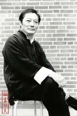 wong shun leung, sitting wong shun leung, ving tsun, WSL