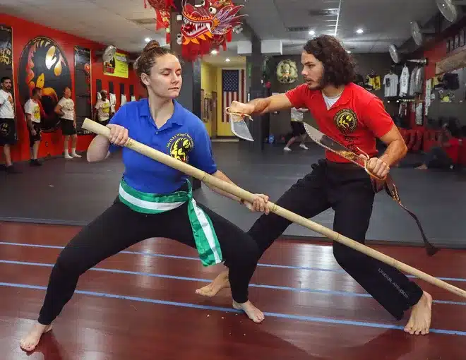 wing chun swords, wing chun buttery swords, wing chun, butterfly swords, wing chun weapons, weapons of wing chun, 