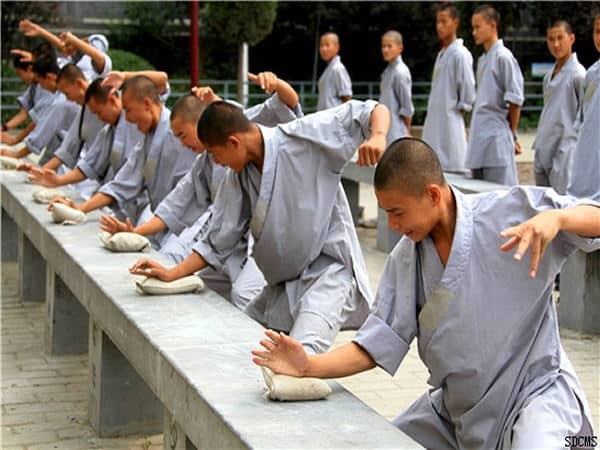 shaolin kung fu, shaolin kung fu lakeland, shaolin kung fu lakeland fl, lakeland fl, lakeland, florida, kung fu, chinese martial arts, lakeland chinese martial arts, chinese martial arts lakeland